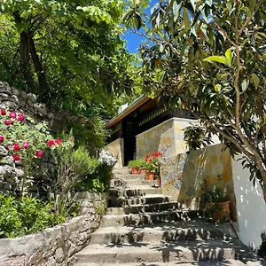  Guest house Latifi